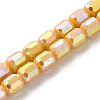 Electroplate Glass Beads Strands EGLA-D030-06D-1