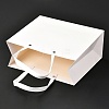 Rectangle Paper Bags CARB-O004-02B-01-3