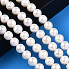 Natural Cultured Freshwater Pearl Beads Strands PEAR-N016-08A-2