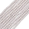 Electroplated Shell Pearl Beads Strands BSHE-G041-2mm-06-1