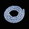 Glass Beads Strands EGLA-A044-J4mm-D06-3