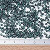 MIYUKI Round Rocailles Beads X-SEED-G007-RR0362-4