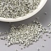 MIYUKI Delica Beads SEED-J020-DB0035-1