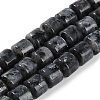 Natural Larvikite Beads Strands G-L604-E07-01-1