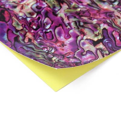 lastic Abalone Shell Paper DIY-WH0349-100A-1