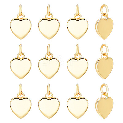 12Pcs Brass Charms KK-GO0002-22-1