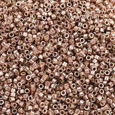 MIYUKI Delica Beads X-SEED-J020-DB2504-1