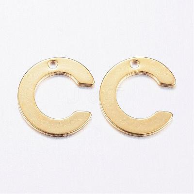 304 Stainless Steel Charms STAS-P141-C-1