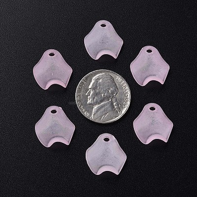 Transparent Acrylic Beads MACR-S373-106-D05-1