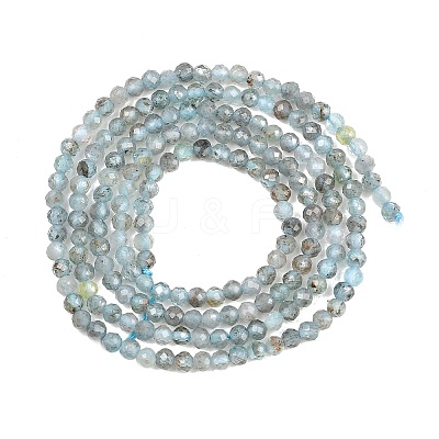 Natural Apatite Beads Strands G-RM250104-C5-1