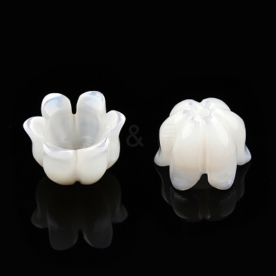 Natural White Shell Bead Caps SSHEL-N032-58B-1