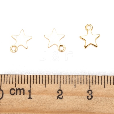 304 Stainless Steel Charms STAS-F159-43G-1