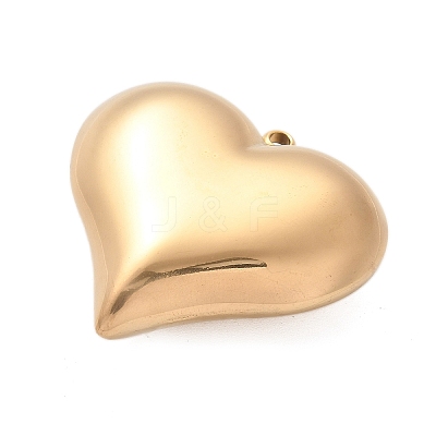 304 Stainless Steel Pendants STAS-Q349-02C-G-1