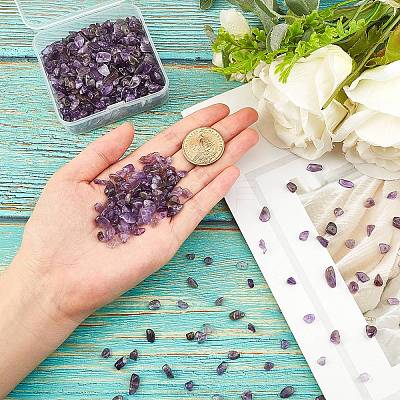 Natural Amethyst Chip Beads G-SC0001-21-1