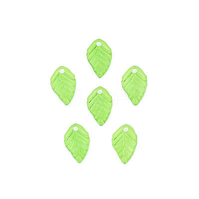 Transparent Acrylic Charms TACR-T012-04-1
