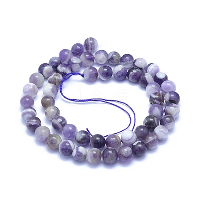 Natural Amethyst Beads Strands X-G-L552H-03B-1