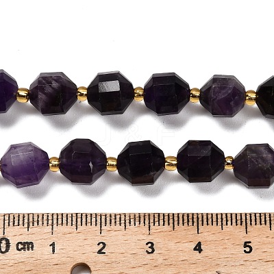 Natural Amethyst Beads Strands G-P568-B01-01-1