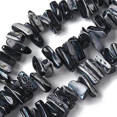Dyed Natural Trochus Shell Beads Strands SSHEL-C013-09A-1