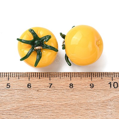 Imitation Vegetable Resin Pendants RESI-K033-03B-01-1
