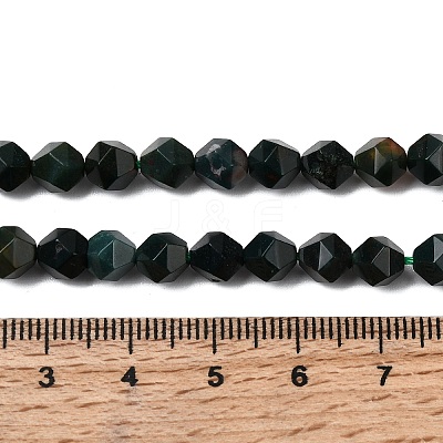 Natural Bloodstone/Heliotrope Beads Strands G-Z119-A16-01-1