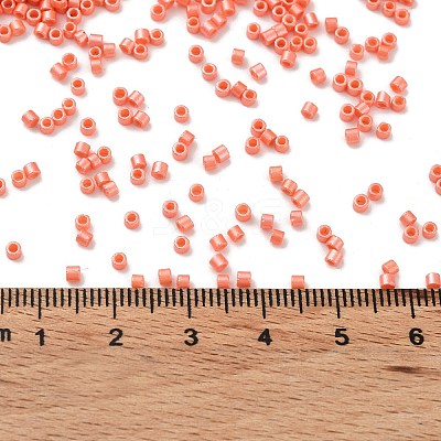 Baking Paint Glass Seed Beads X-SEED-S042-15B-29-1