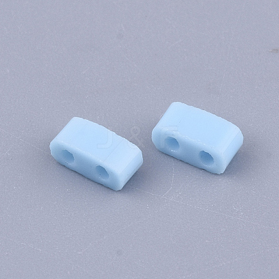 FGB 2-Hole Glass Seed Beads SEED-S031-M-043-1