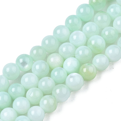 Natural Freshwater Shell Beads Strands X-BSHE-T009A-01D-1