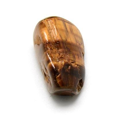 Natural Tiger Eye Gemstone Beads G-S218-20-1