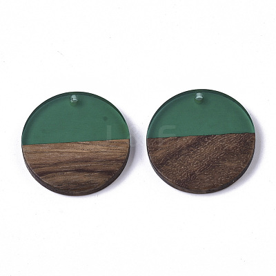 Transparent Resin & Walnut Wood Pendants RESI-S358-02B-H58-1