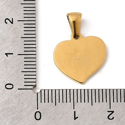 Hand Polished 304 Stainless Steel Charms STAS-B094-15G-1