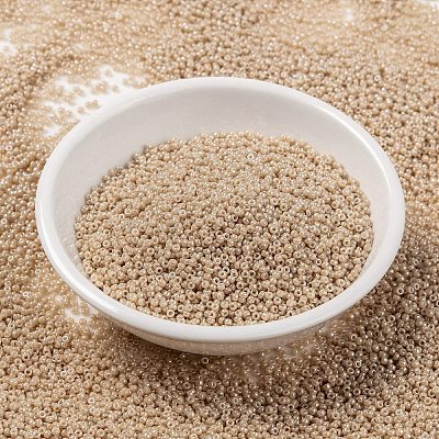 MIYUKI Round Rocailles Beads X-SEED-G009-RR0593-1