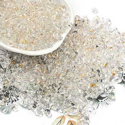 6/0 Spray Paint Fringe Glass Seed Beads SEED-H003-11B-1