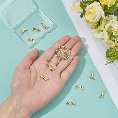 12Pcs Brass Charms ZIRC-BC00001-27G-1