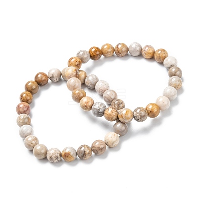 Natural Fossil Coral Stretch Beaded Bracelets G-A185-01X-1