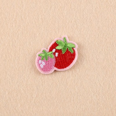 Computerized Embroidery Cloth Iron on/Sew on Patches LS-DIY-F038-E03-1
