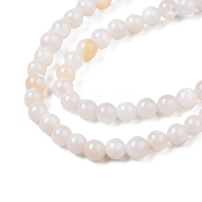 Natural Freshwater Shell Beads Strands BSHE-T009A-01B-1