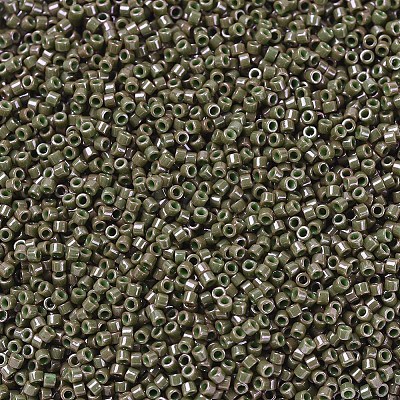 MIYUKI Delica Beads SEED-MY11-DB0657-1