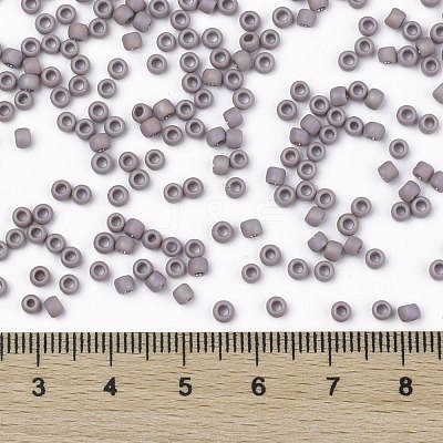 TOHO 8/0 Round Beads SEED-XTR08-0412F-1