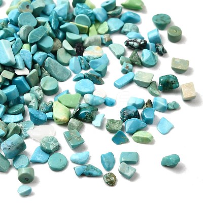 Dyed & Heated Natural Magnesite Chip Beads G-L453-01-1