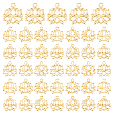 40Pcs Alloy Charms FIND-HS0001-97-1