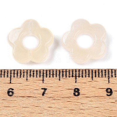 Gradient Color Transparent Acrylic Beads OACR-N137-49P-1