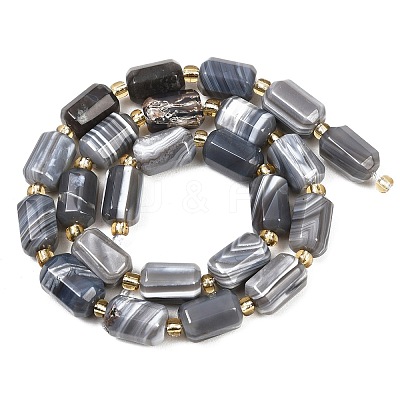 Natural Botswana Agate Beads Strands G-P611-A01-01-1