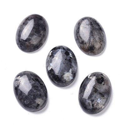 Natural Black Larvikite Cabochons G-Z020-10-1