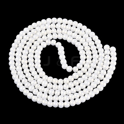 Baking Paint Glass Pearl Beads Strands DGLA-ZX001-05A-01-1