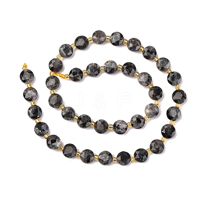 Natural Larvikite Beads Strands G-C116-A30-02-1