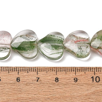 Transparent Handmade Lampwork Beads LA-CBAF0C8-01E-1