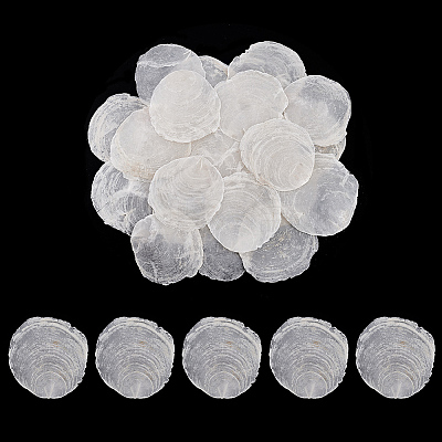 60Pcs Naturtal Capiz Shell Beads FIND-PH0026-67-1