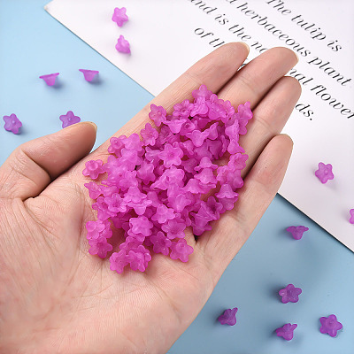 Transparent Acrylic Beads LS-X-PL554-17-1