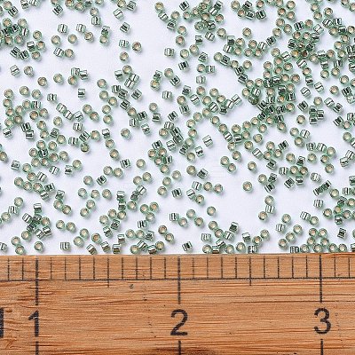 MIYUKI Delica Beads X-SEED-J020-DB2165-1