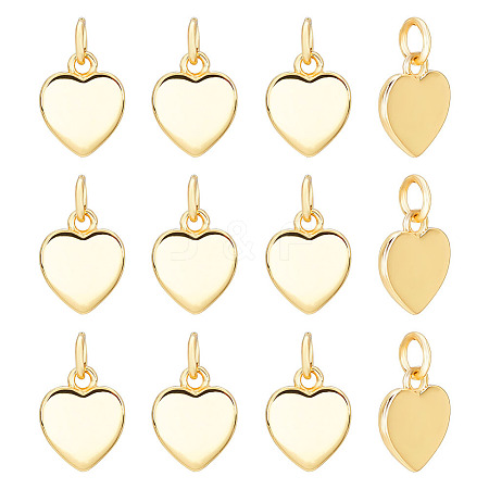 12Pcs Brass Charms KK-GO0002-22-1